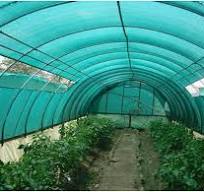 Greenhouse shade
